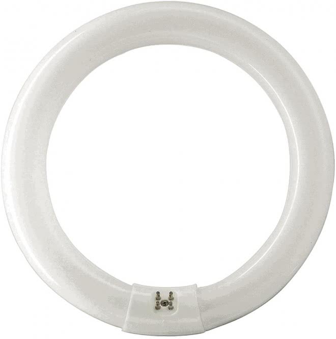 PHIL L-Lampe TL-E 32W-830       55967815      T8R 26mm G10q Ringform EEK G