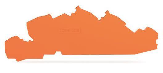 WAGO 2205-7692 Abschluss-und Zwischenplatte,,orange